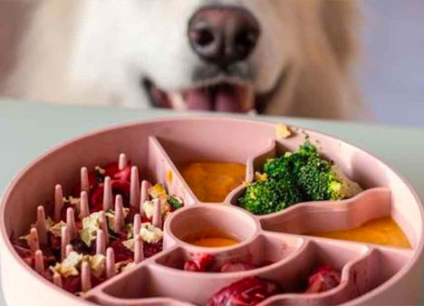 Představujeme novou značku Fiboo: Vyrobeno v Evropě