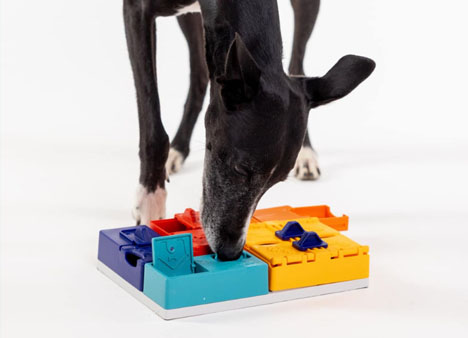 Pro opravdové profíky: Nové hlavolamy Pawzler