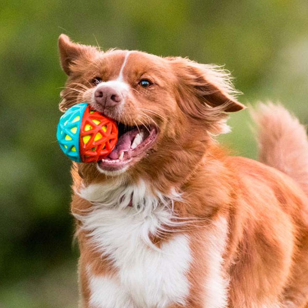 P.L.A.Y.: Zcela nový míček 2v1 Astro Go-Go Ball