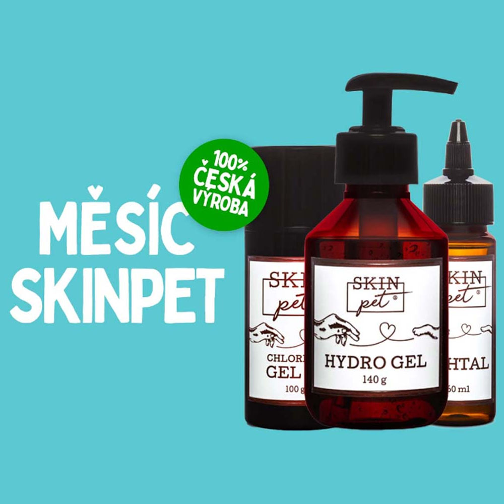 Nově na DOGG B2B: Česká značka SkinPet