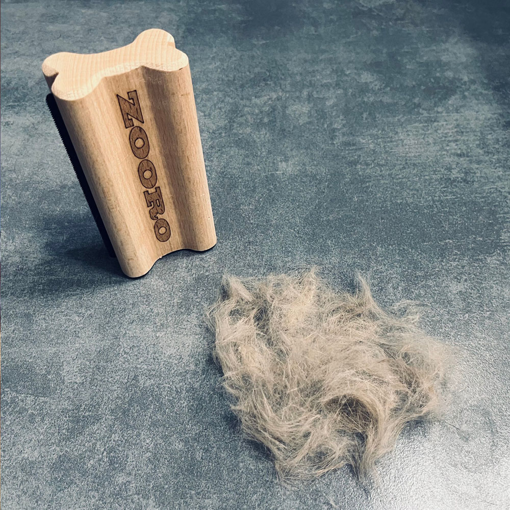 Zooro: Legendární kartáč na krátkou srst je zpět