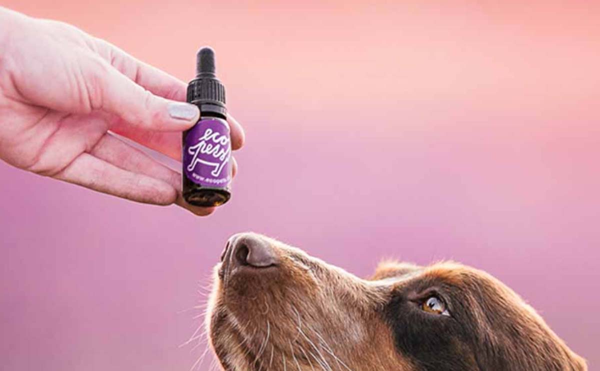 Velkoobchodní nabídka přírodní péče Ecopets je teď širší