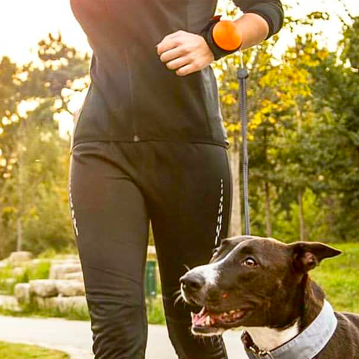 Proč milujeme hands-free vodítko Lishinu