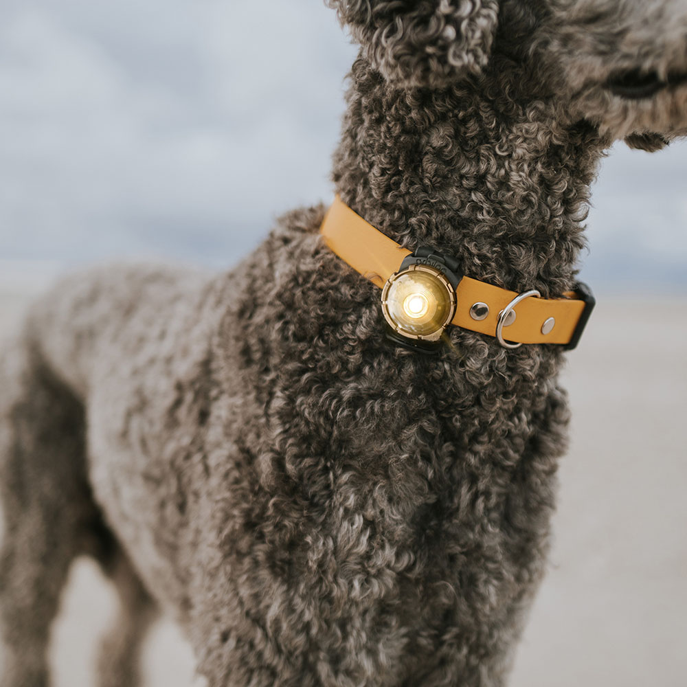 Světová premiéra: Nový Orbiloc Gold