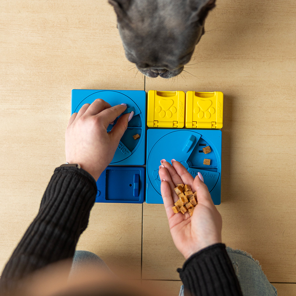 Ukažte zákazníkům, jak mohou zabavit jejich psa