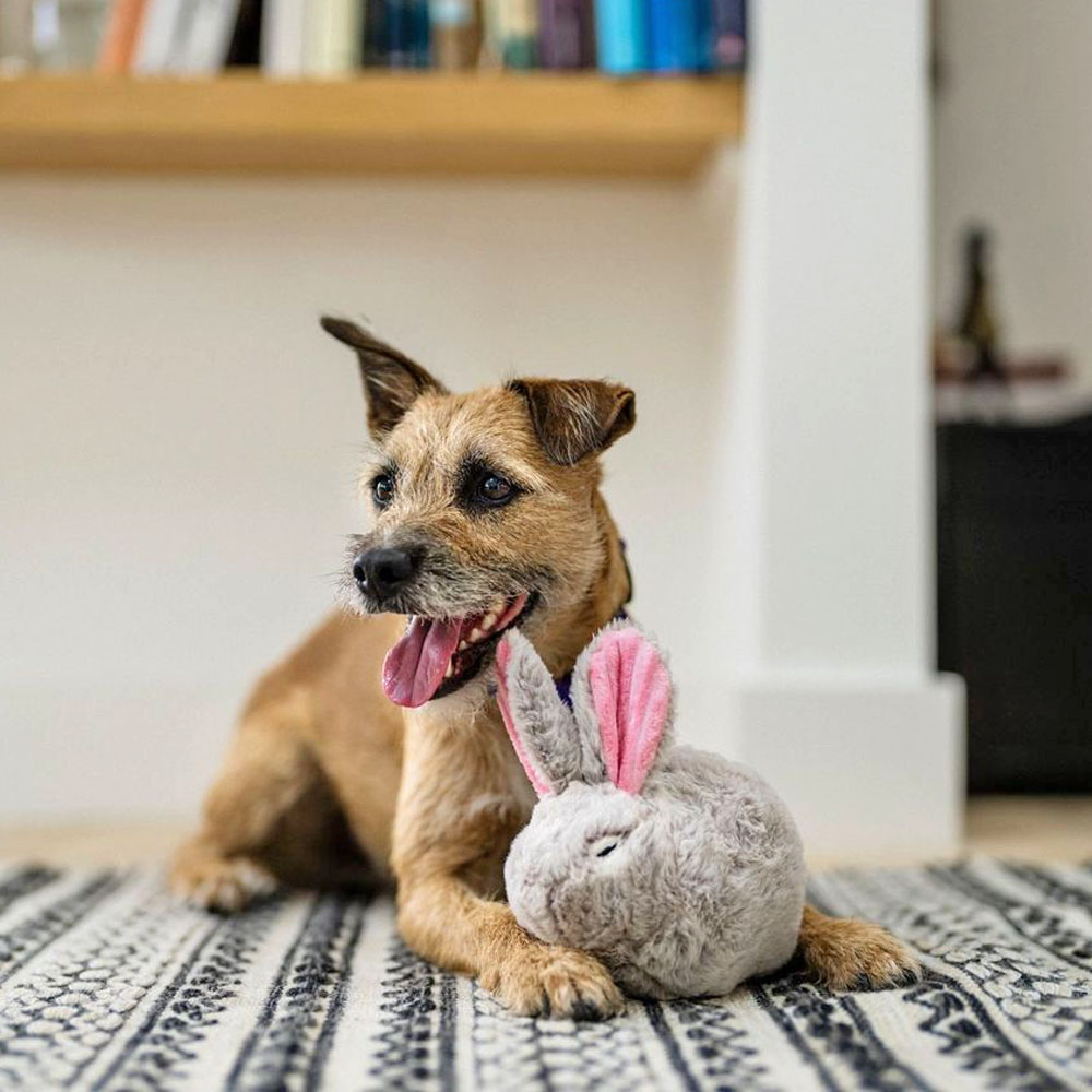 Rozšiřujeme nabídku hraček P.L.A.Y. o kolekci Forest Friends