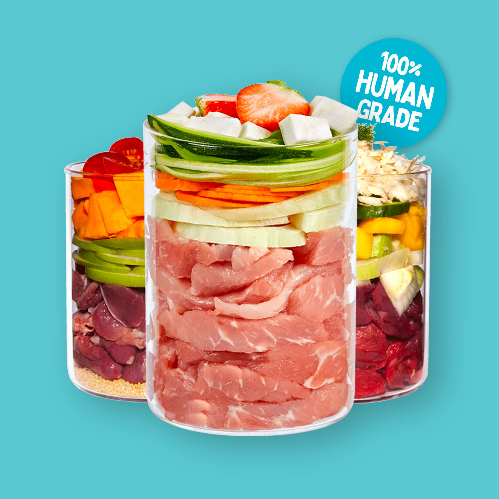 Terra Canis a Terra Felis: 100% human-grade konzervy pro psy a kočky