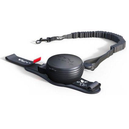 Vodítko Lishinu3 Bungee Black M (8 - 12 kg)