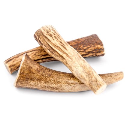 4DOGS Jelení paroží pro psy Premium XL+