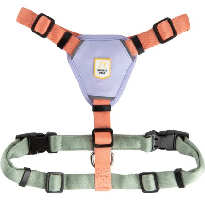 Woolly Wolf Postroj Salmon Pink Mix S