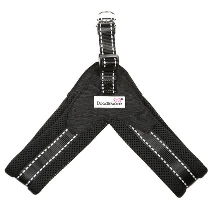 Doodlebone Postroj Boomerang Coal