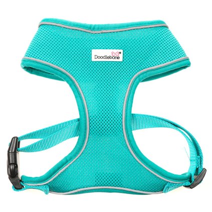 Doodlebone Postroj Airmesh Peacock