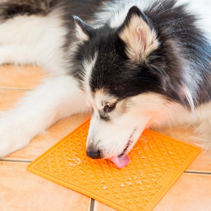 LickiMat Lízací podložka Buddy XL Orange