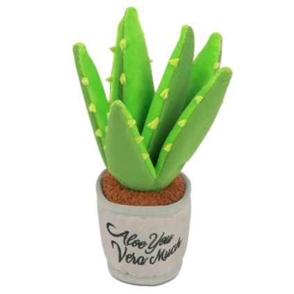 P.L.A.Y. Aloe