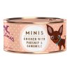 Terra Canis Mini Konzerva Kuře s pastinákem, pampeliškou a heřmánkem 100 g