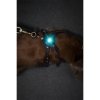 Orbiloc Turquoise LED světlo na obojek a postroj