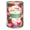 Terra Canis Cozy Winter Konzerva Krůta s brusinkami a zimním kořením 400 g