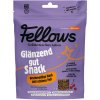 Fellows Hmyzí funkční pamlsky na výživu srsti a kůže Glänzend 125 g