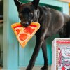 P.L.A.Y. Pizza Puppy-roni