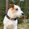 Woolly Wolf Obojek Woodland3