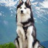 Woolly Wolf Postroj Woodland3