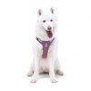Woolly Wolf Postroj Alpha 360 Mauve Mix4