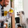 P.L.A.Y. Pivo Hoppy Hound Brew