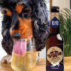 Bottom Sniffer Pivo pro psy