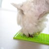 LickiMat Lízací podložka Buddy Green