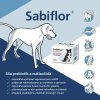 Sabio Vet Sabiflor 21 sáčků Prebiotika, imunita, zažívání, stres
