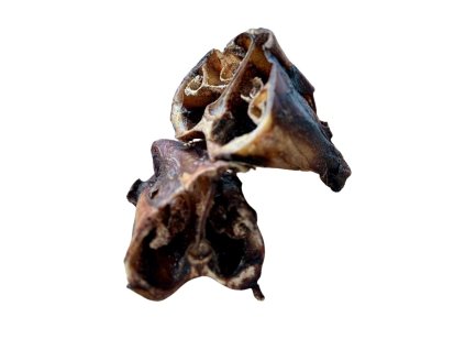 serum proti klistatum (2)