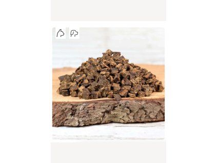 jelení trainery BG