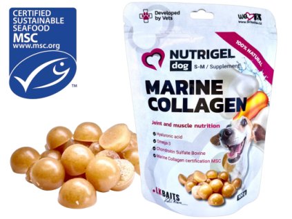 LK BAITS PET NUTRIGEL DOG MARINE COLLAGEN S-M,100G