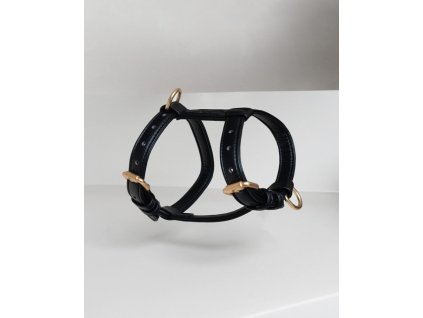 Postroj pro psa | Night Fall M