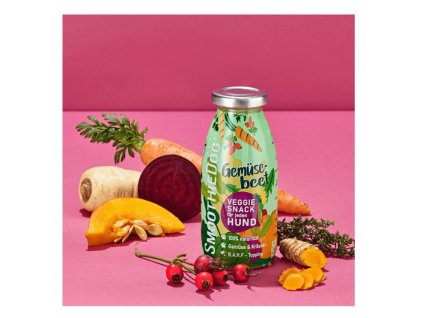 Vegetariánské smoothie pro psy