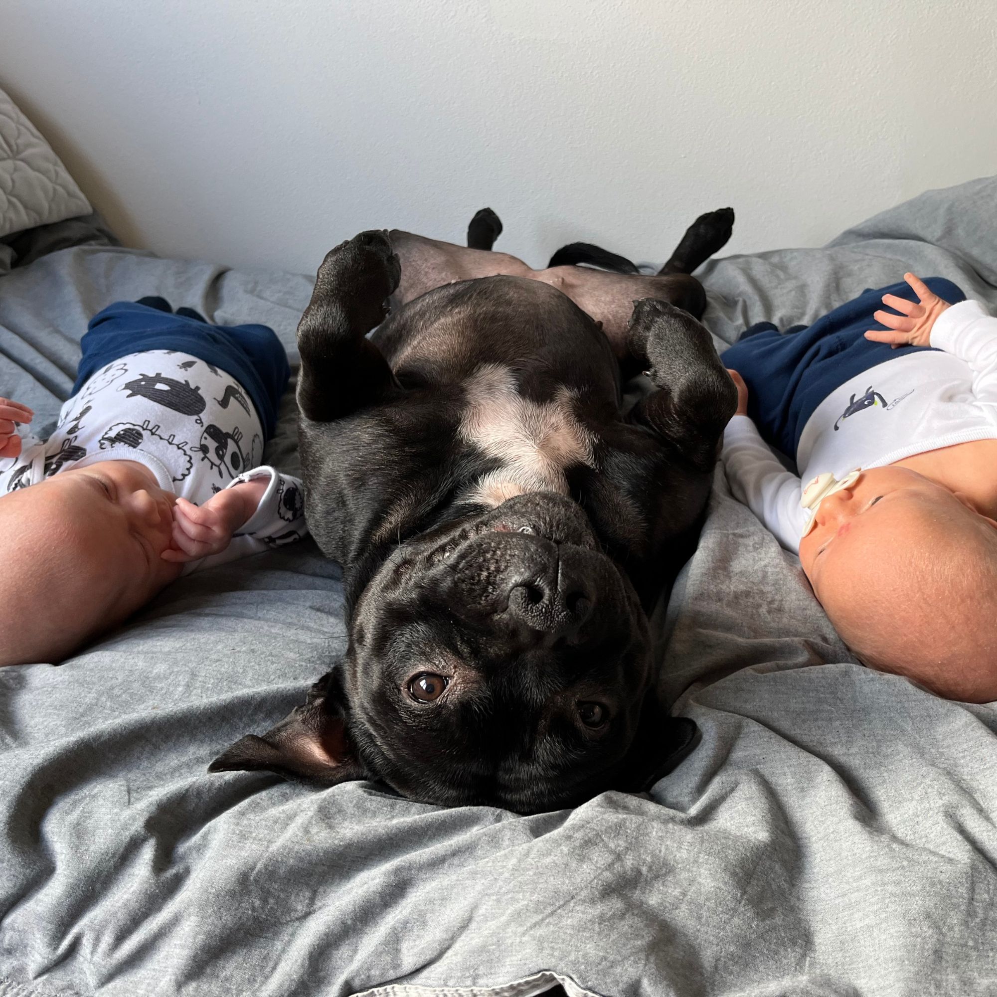 Jak to všechno začalo?