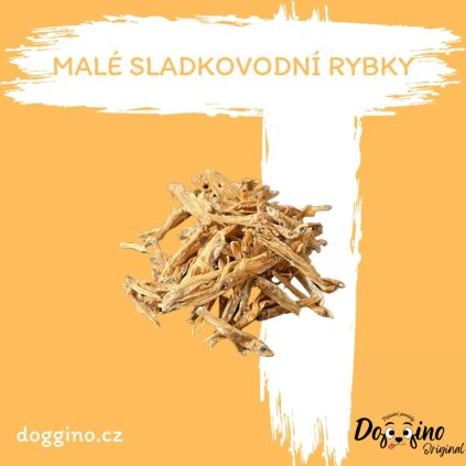 male-sladkovodni-ryby