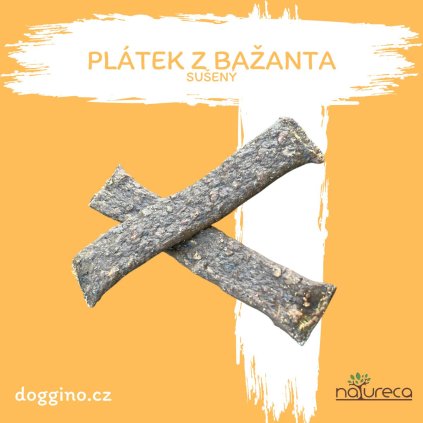 PLATEK Z BAZANTA