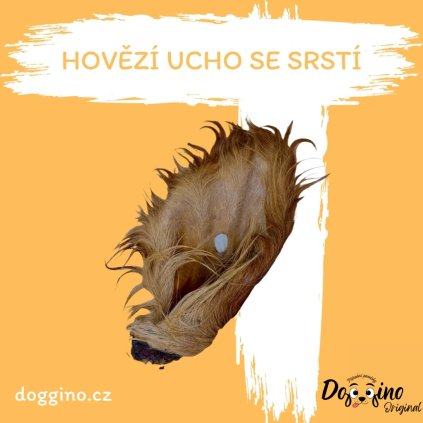 hovezi-ucho-se-srsti