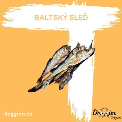 baltsky-sled-50g