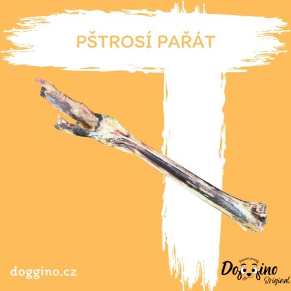 pstrosi-parat
