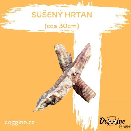 suseny-hrtan