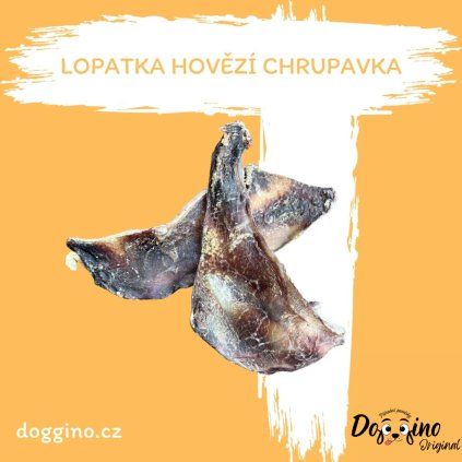 hovezi-lopatka