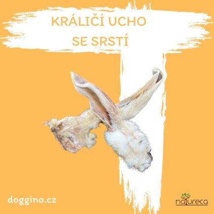 CHLUPUCHO
