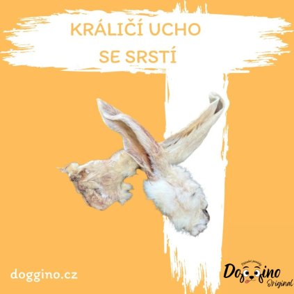 kralici-ouska-se-srsti-1ks