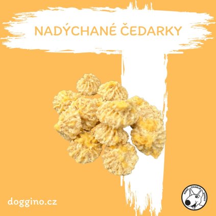 NADYCHANE CEDARKY1