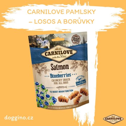 Carnilove- losos a borůvky