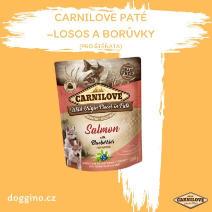 Carnilove paté- losos a borůvka pro štěňata