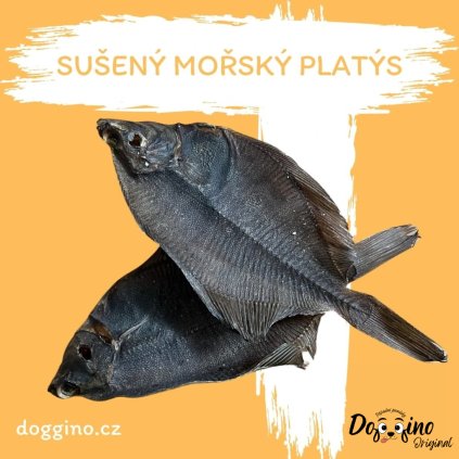 suseny-platys
