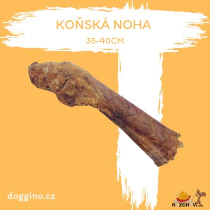 Koňská noha 35-40cm